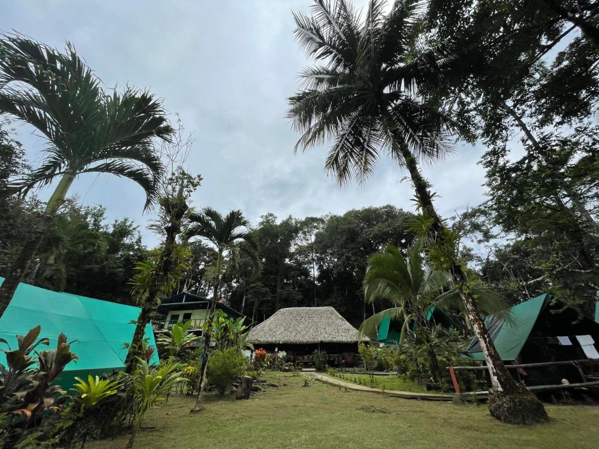 Auberge de jeunesse Corcovado Adventures à Drakes Bay Extérieur photo