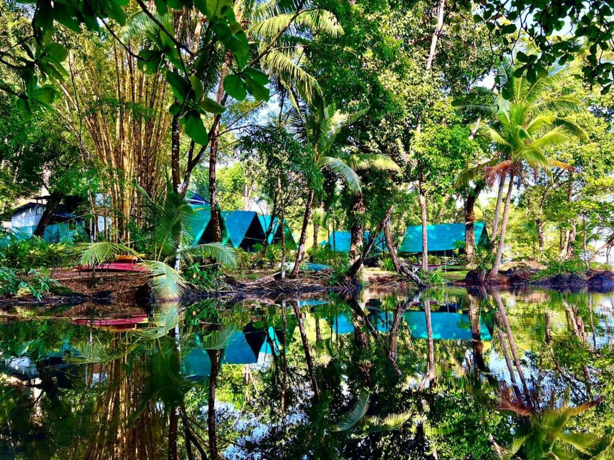 Auberge de jeunesse Corcovado Adventures à Drakes Bay Extérieur photo