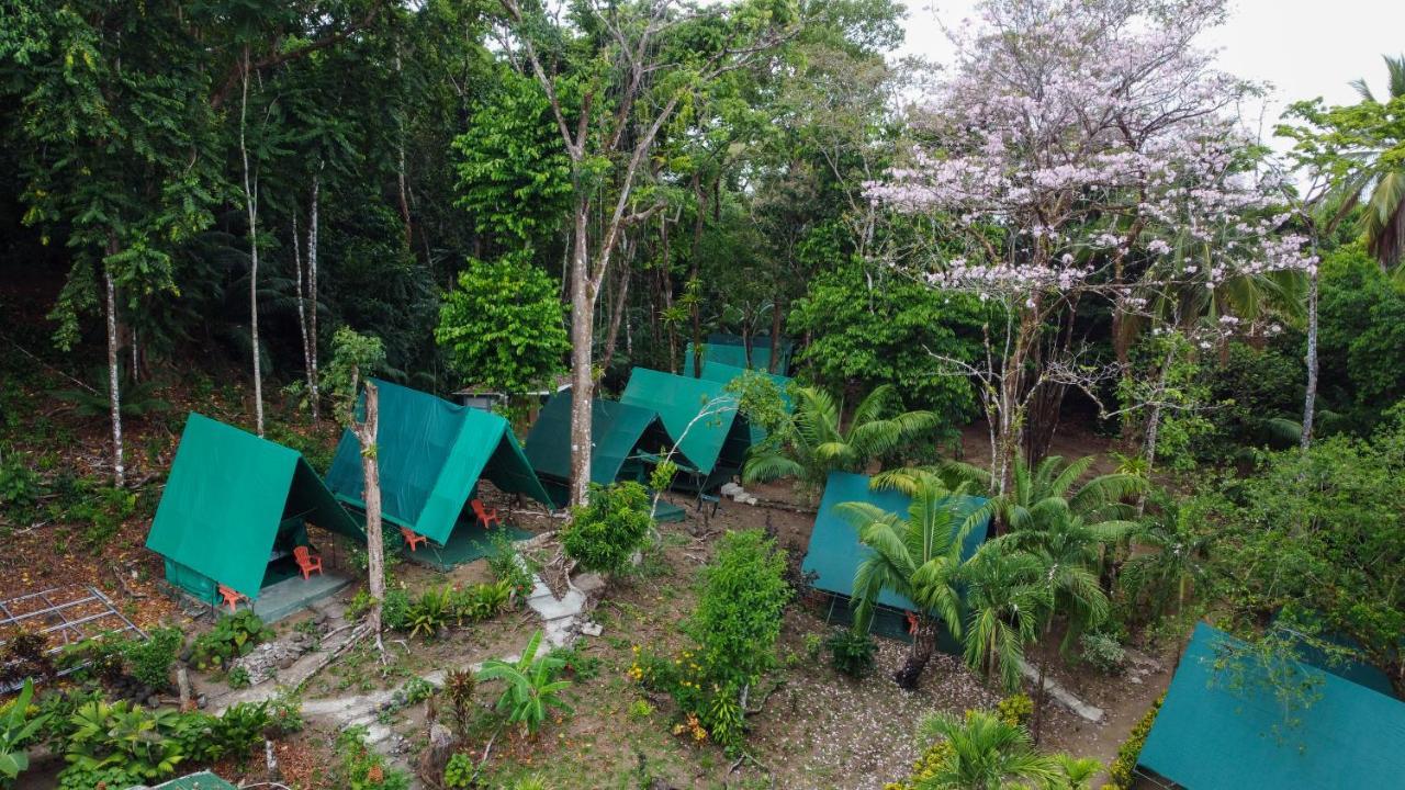 Auberge de jeunesse Corcovado Adventures à Drakes Bay Extérieur photo