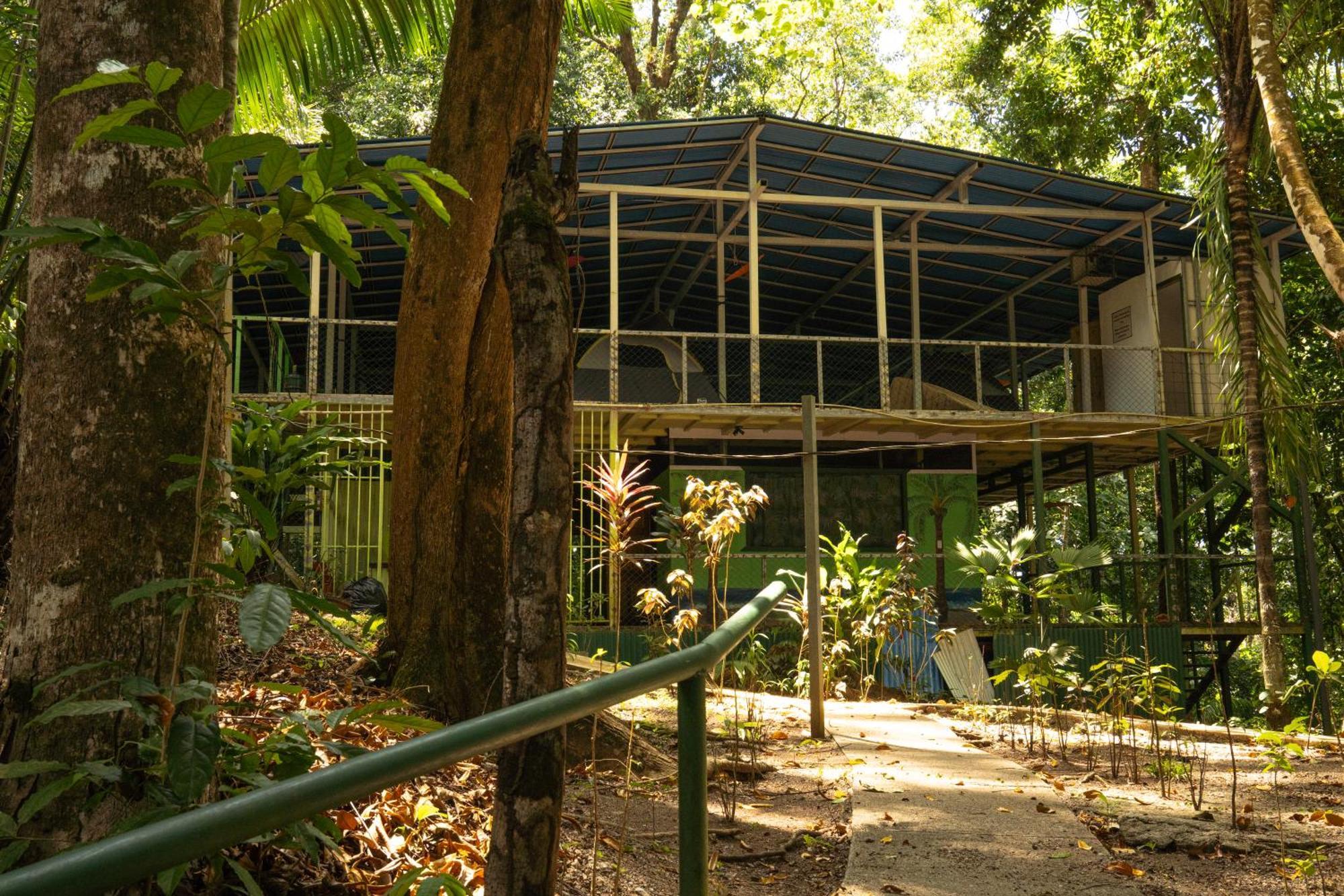 Auberge de jeunesse Corcovado Adventures à Drakes Bay Extérieur photo