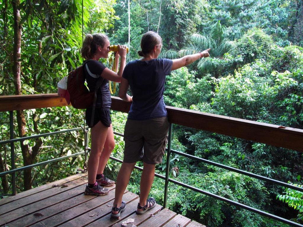 Auberge de jeunesse Corcovado Adventures à Drakes Bay Extérieur photo